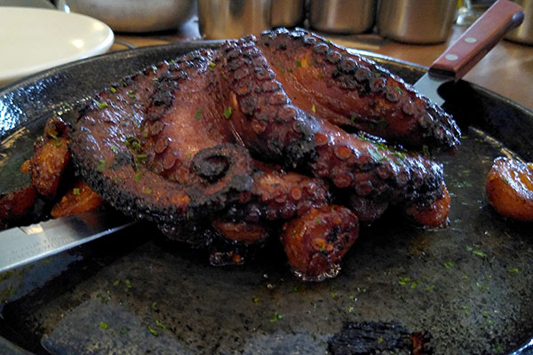 Bellopuerto, Una Travesía Por Los Sabores Del Mar En Polanquito